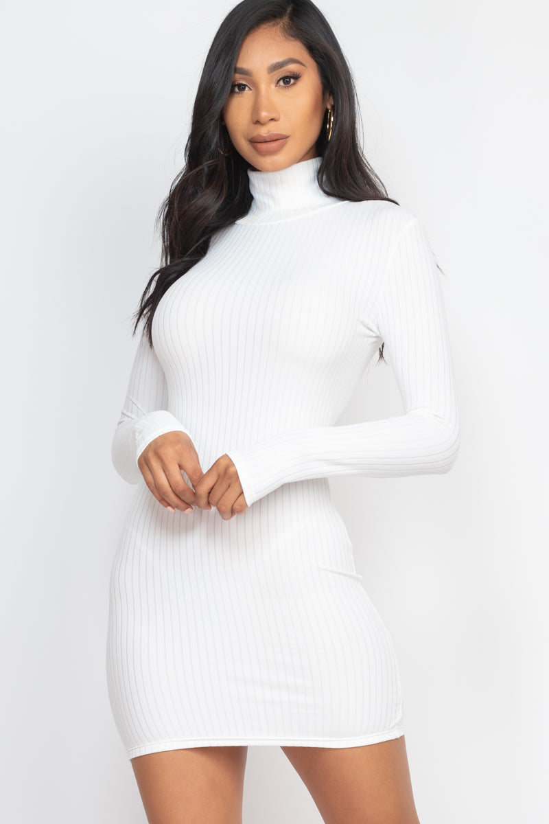 Ribbed Mock Neck Bodycon Mini Dress (CAPELLA)-25