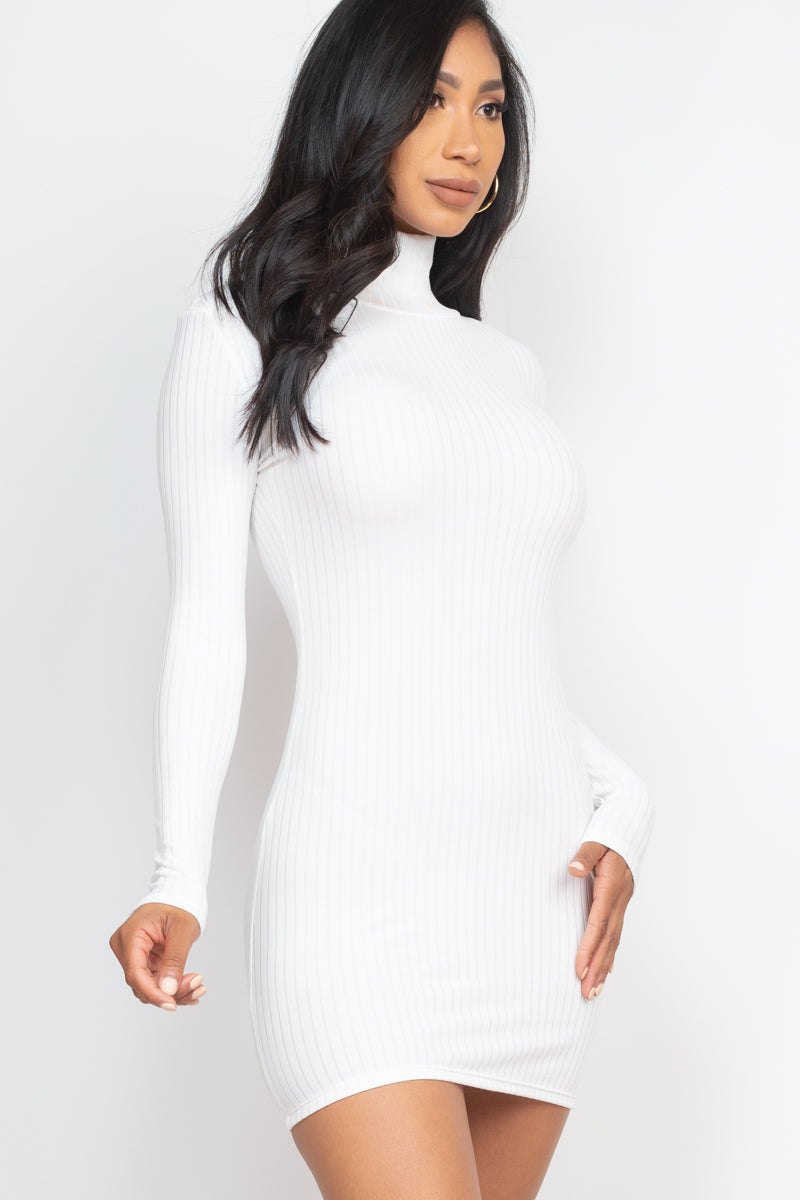 Ribbed Mock Neck Bodycon Mini Dress (CAPELLA)-26